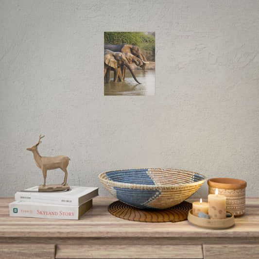 Elephant Herd Rolled Poster — Wildlife Photography Wall Art