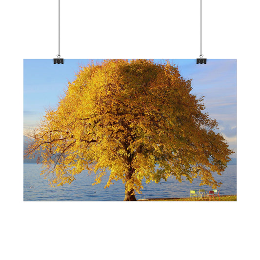 Rolled Poster — “where the leaves meet the lake” Nature Wall Art