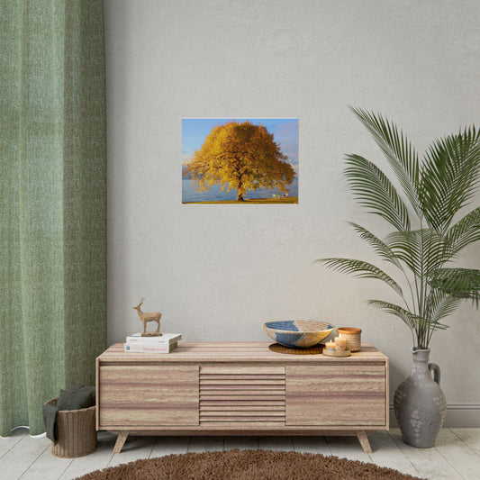 Rolled Poster — “where the leaves meet the lake” Nature Wall Art