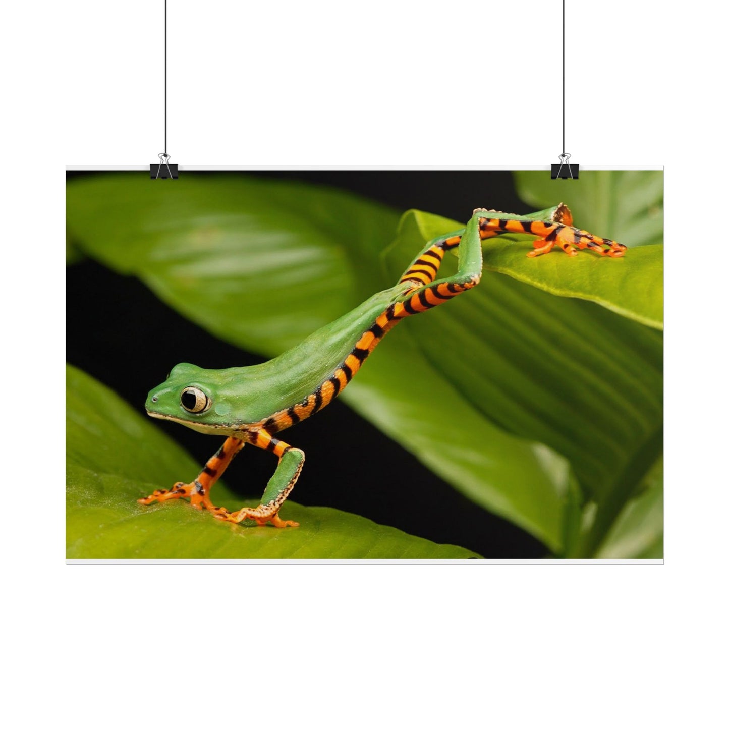 Tropical Tree Frog Poster — Vibrant Rainforest Wildlife Wall Art